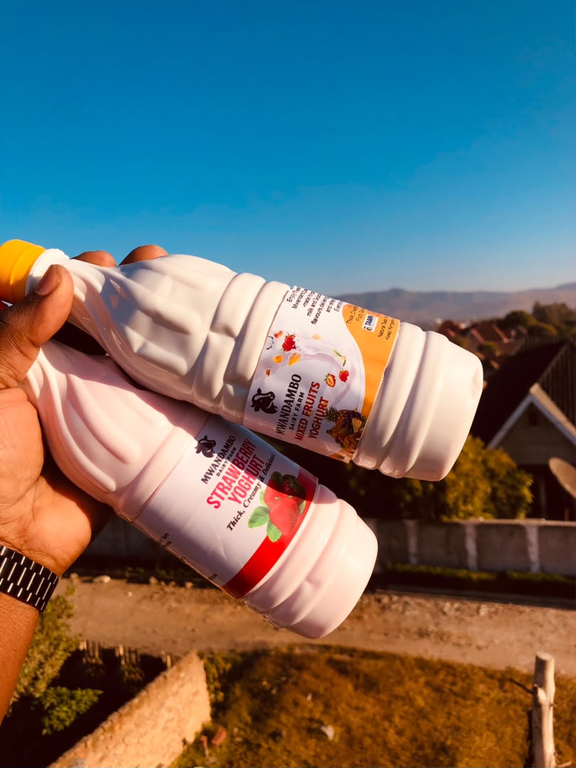 Mango Yoghurt 1 Litre